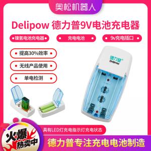 Delipow 德力普9V電池充電器 鎳氫電池充電器 充電電池